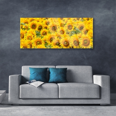 Quadro in vetro Pianta di girasole Natura