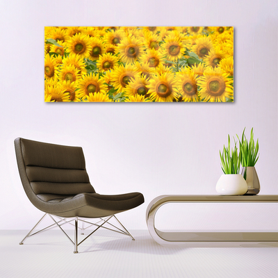 Quadro in vetro Pianta di girasole Natura