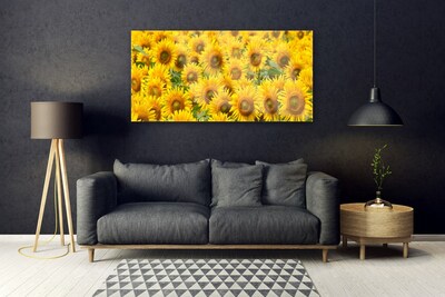 Quadro in vetro Pianta di girasole Natura