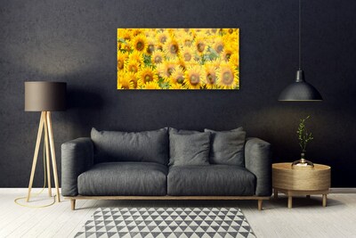 Quadro in vetro Pianta di girasole Natura