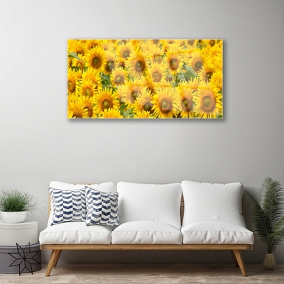 Quadro in vetro Pianta di girasole Natura