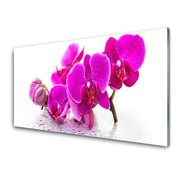 Quadro vetro Fiori di viola del pensiero