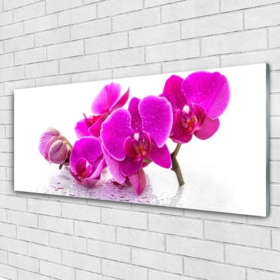 Quadro vetro Fiori di viola del pensiero