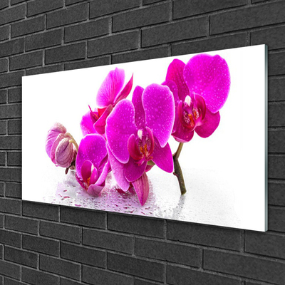 Quadro vetro Fiori di viola del pensiero