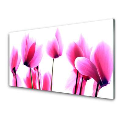 Quadro in vetro Pianta di fiori