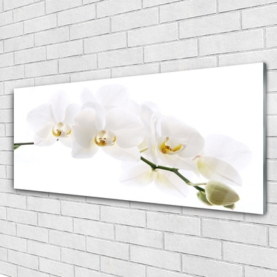 Quadro su vetro Fiori di orchidea
