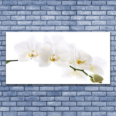 Quadro su vetro Fiori di orchidea