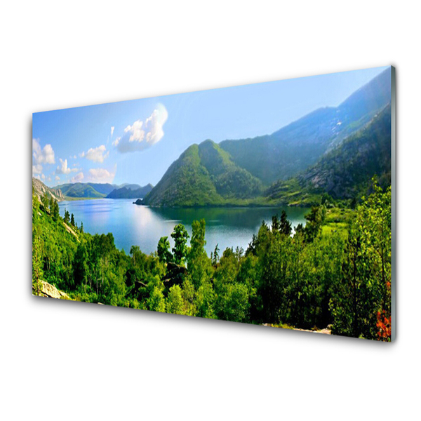 Quadro di vetro Foresta Lago Montagne Paesaggio