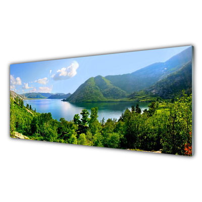 Quadro di vetro Foresta Lago Montagne Paesaggio