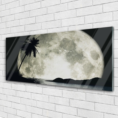Quadro in vetro Luna notturna Palm Landscape