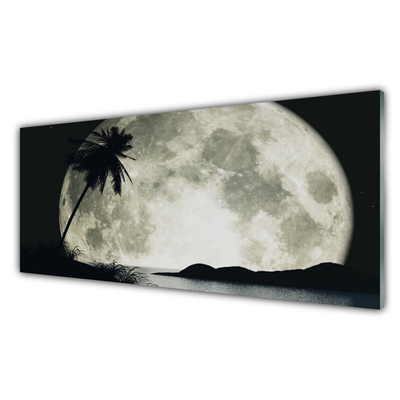 Quadro in vetro Luna notturna Palm Landscape