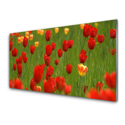 Quadro in vetro Pianta di tulipani