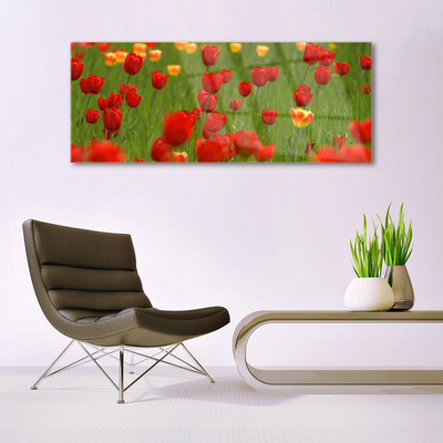 Quadro in vetro Pianta di tulipani