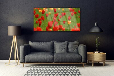 Quadro in vetro Pianta di tulipani