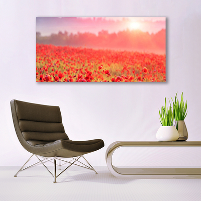 Quadro vetro Prato Fiori Natura Pianta