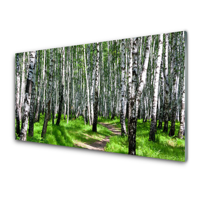 Quadro vetro Alberi Erba Natura