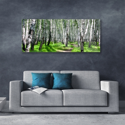 Quadro vetro Alberi Erba Natura