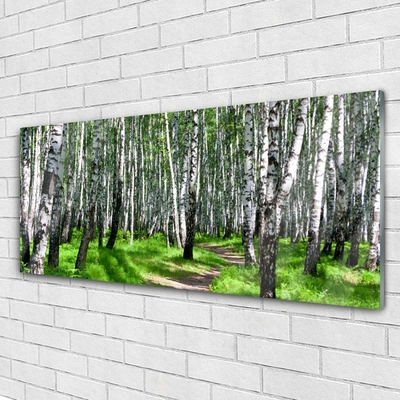 Quadro vetro Alberi Erba Natura