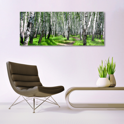 Quadro vetro Alberi Erba Natura