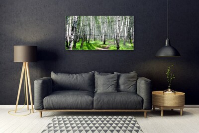 Quadro vetro Alberi Erba Natura