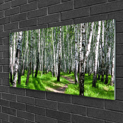 Quadro vetro Alberi Erba Natura