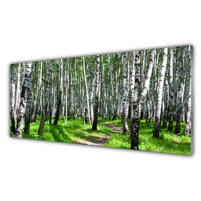 Quadro vetro Alberi Erba Natura