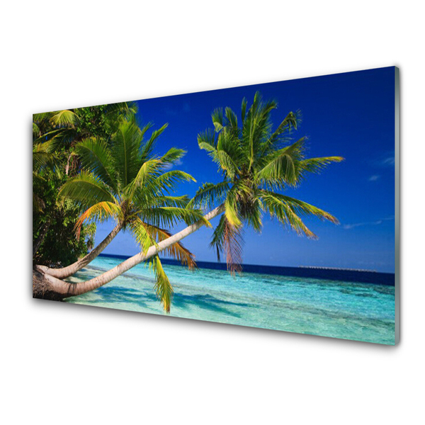 Quadro in vetro Palm Tree Sea Landscape