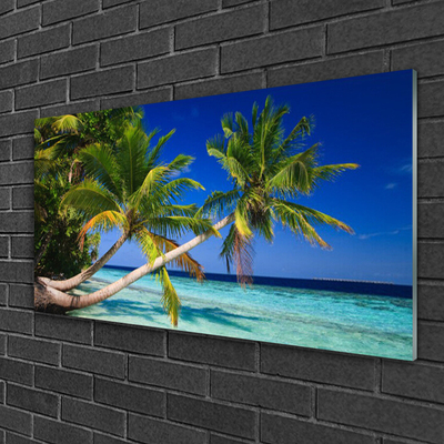 Quadro in vetro Palm Tree Sea Landscape