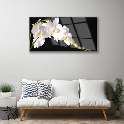 Quadro vetro Pianta di fiori