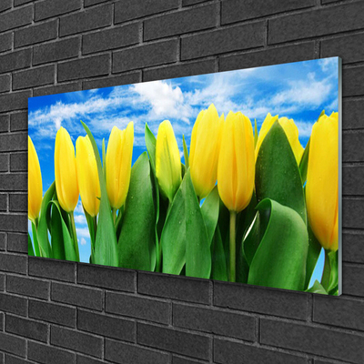 Quadro in vetro Fiori di tulipani