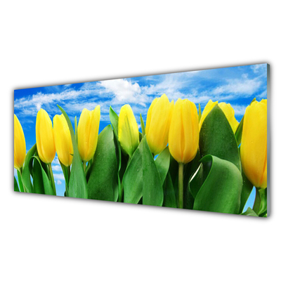 Quadro in vetro Fiori di tulipani