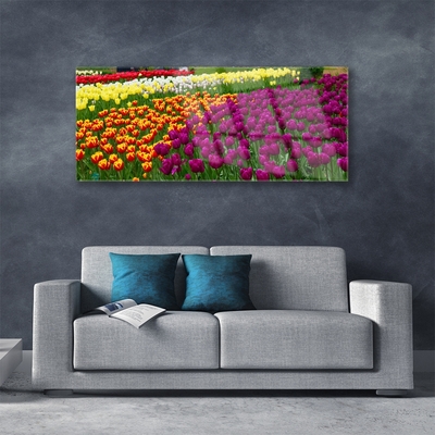 Quadro in vetro Fiori di tulipani