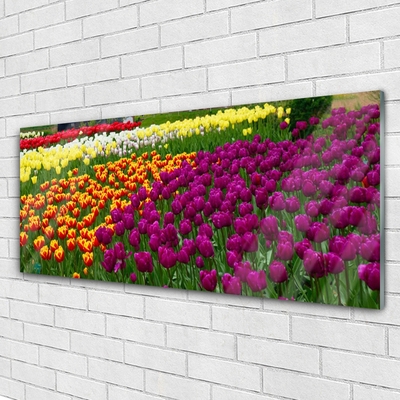 Quadro in vetro Fiori di tulipani