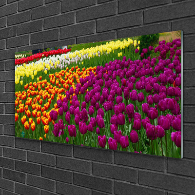 Quadro in vetro Fiori di tulipani