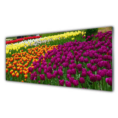 Quadro in vetro Fiori di tulipani