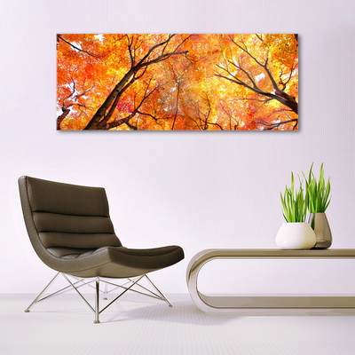 Quadro in vetro Alberi della natura