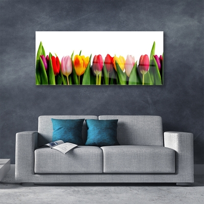 Quadro in vetro Pianta di tulipani