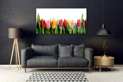Quadro in vetro Pianta di tulipani