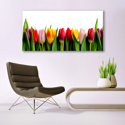 Quadro in vetro Pianta di tulipani