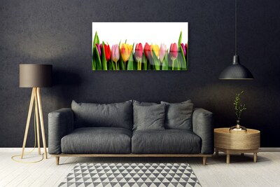 Quadro in vetro Pianta di tulipani