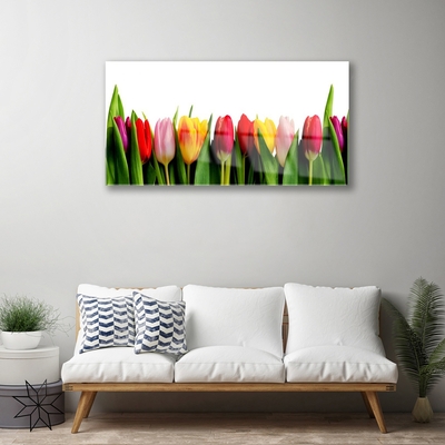 Quadro in vetro Pianta di tulipani