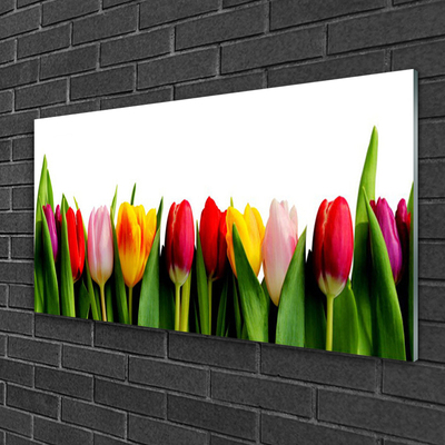 Quadro in vetro Pianta di tulipani