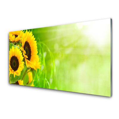 Quadro di vetro Pianta di girasoli