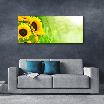 Quadro di vetro Pianta di girasoli