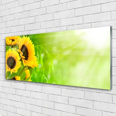 Quadro di vetro Pianta di girasoli