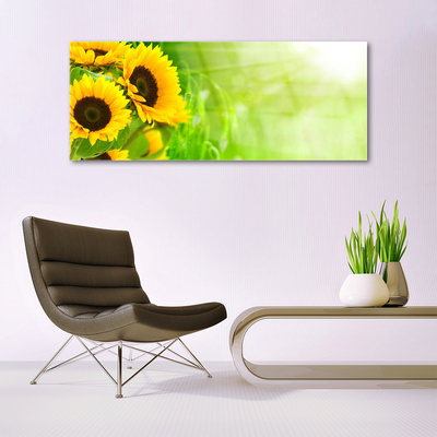 Quadro di vetro Pianta di girasoli