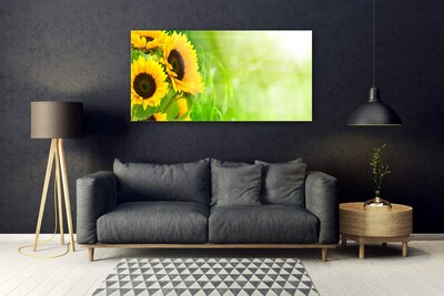 Quadro di vetro Pianta di girasoli