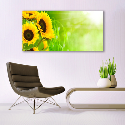 Quadro di vetro Pianta di girasoli