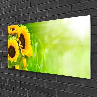 Quadro di vetro Pianta di girasoli