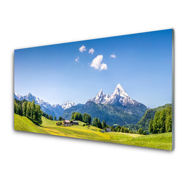 Quadro di vetro Campi Alberi Montagne Paesaggio